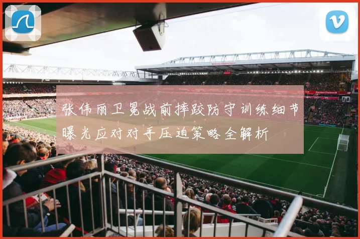 张伟丽卫冕战前摔跤防守训练细节曝光应对对手压迫策略全解析