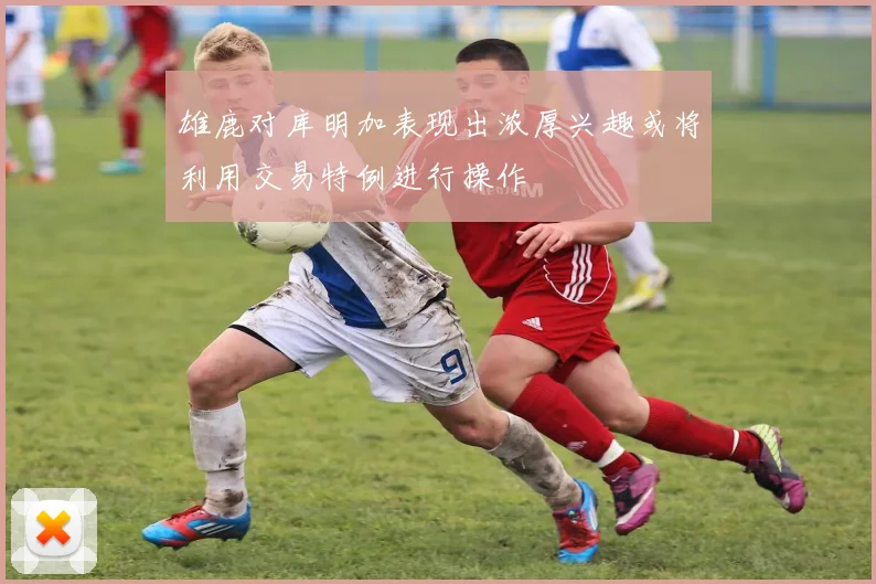 雄鹿对库明加表现出浓厚兴趣或将利用交易特例进行操作