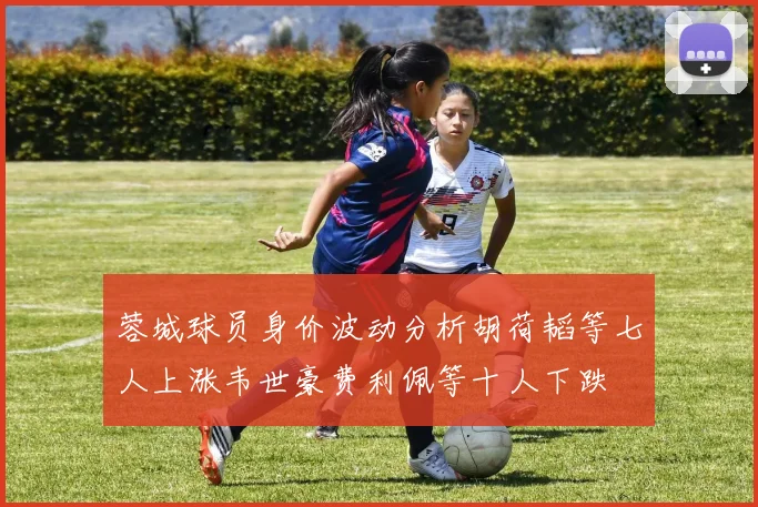 蓉城球员身价波动分析胡荷韬等七人上涨韦世豪费利佩等十人下跌