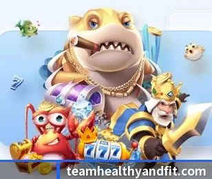 华体hth登录入口的故事